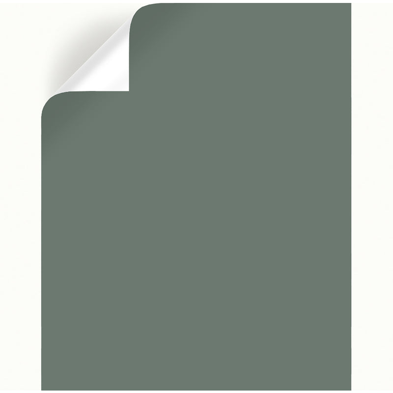 Magnolia Home by Joanna Gaines Luxe Peel & Stick Color Sample