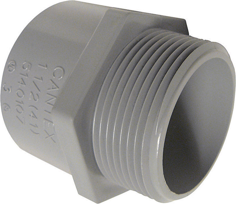 Cantex 1-1/4 in. D PVC Male Adapter For PVC 1 pk