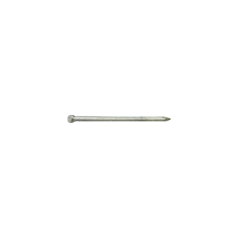 Grip-Rite 12D 3-1/4 in. Finishing Hot-Dipped Galvanized Steel Nail Brad Head 1 lb