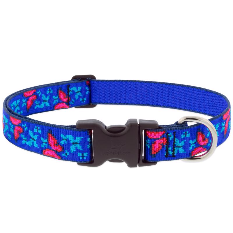 LupinePet Blue/Pink Social Butterfly Nylon Dog Adjustable Collar Large