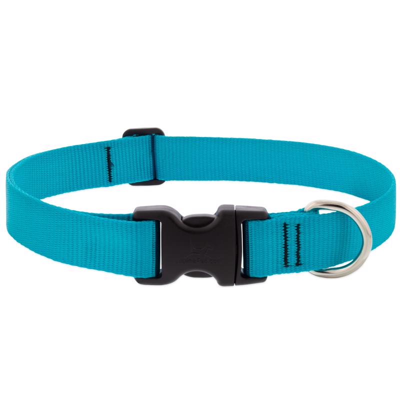 LupinePet Aqua Nylon Dog Adjustable Collar Large/X-Large
