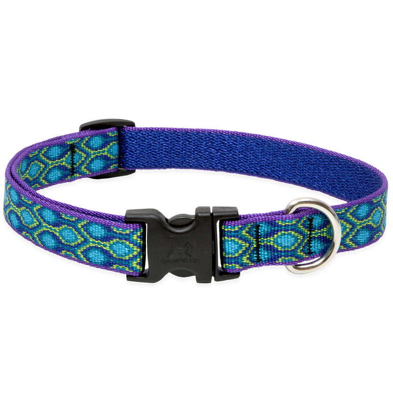 LupinePet Original Designs Multicolor Rain Song Nylon Dog Adjustable Collar