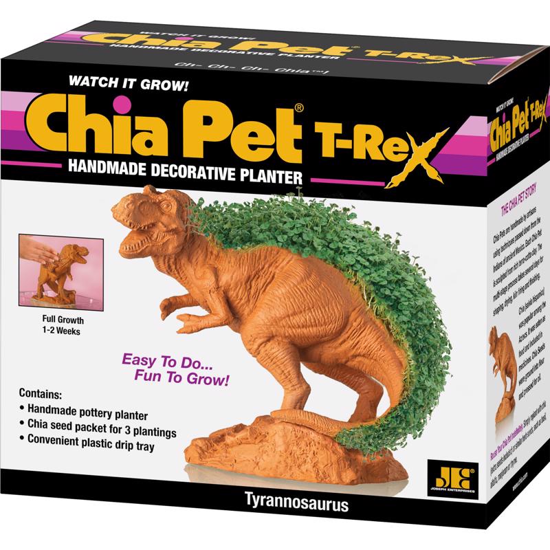 Chia Pet Dinosaur TRex Decorative Planter Terracotta Clay 1 pk
