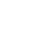 100% Secure Payment