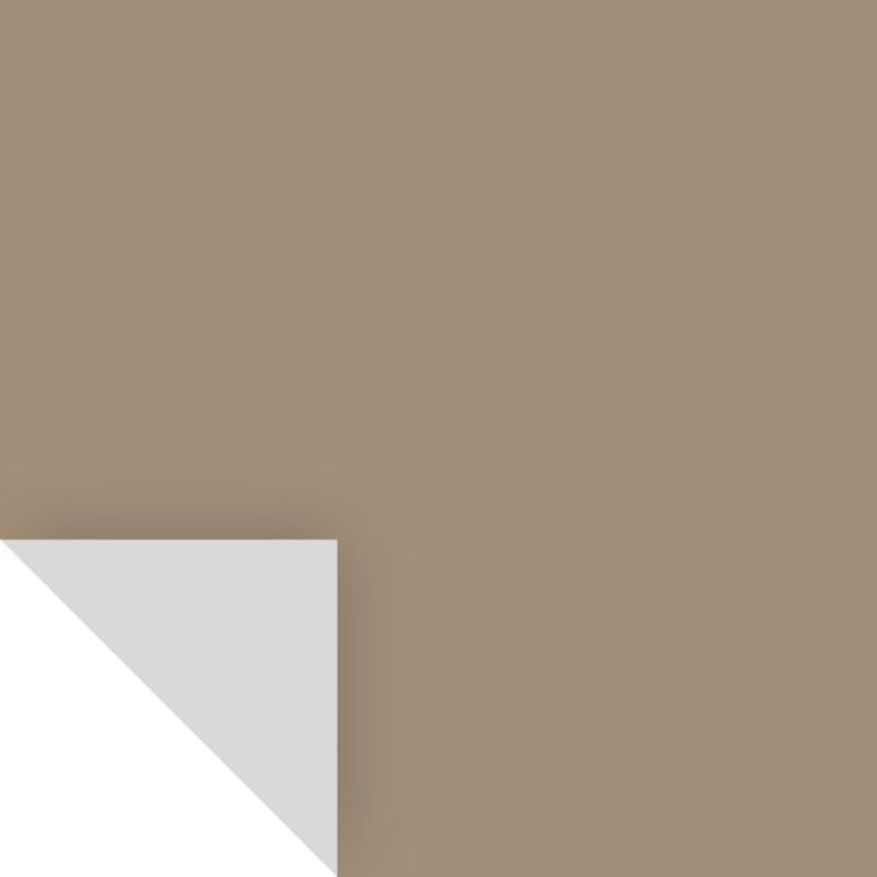 Samplize Benjamin Moore Alexandria Beige Peel & Stick Color Sample HC-77