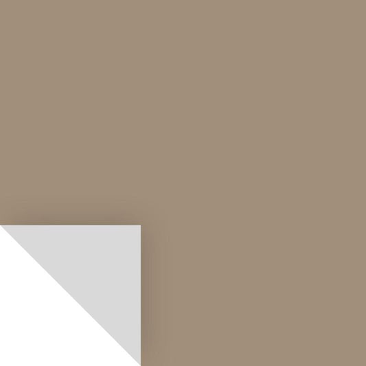 Samplize Benjamin Moore Alexandria Beige Peel & Stick Color Sample HC-77