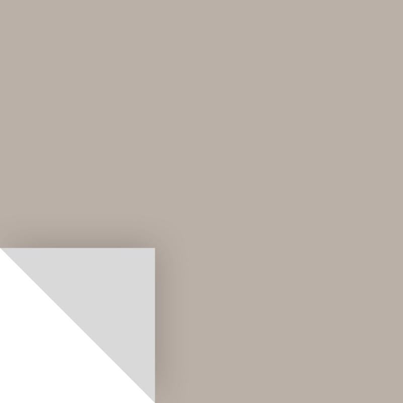 Samplize Benjamin Moore Silver Fox Peel & Stick Color Sample 2108-50