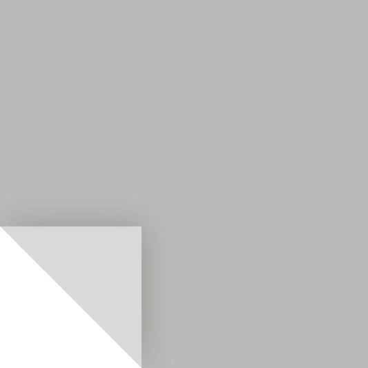 Samplize Benjamin Moore Coventry Gray Peel & Stick Color Sample HC-169