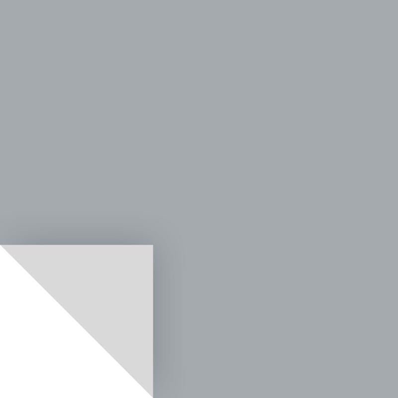 Samplize Benjamin Moore Shadow Gray Peel & Stick Color Sample 2125-40