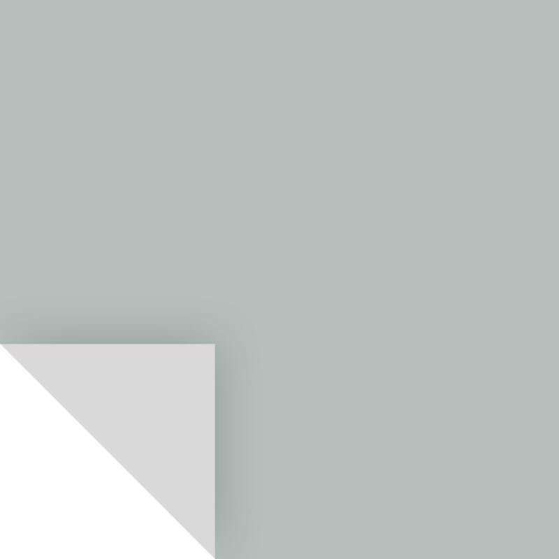 Samplize Benjamin Moore Beach Glass Peel & Stick Color Sample 1564