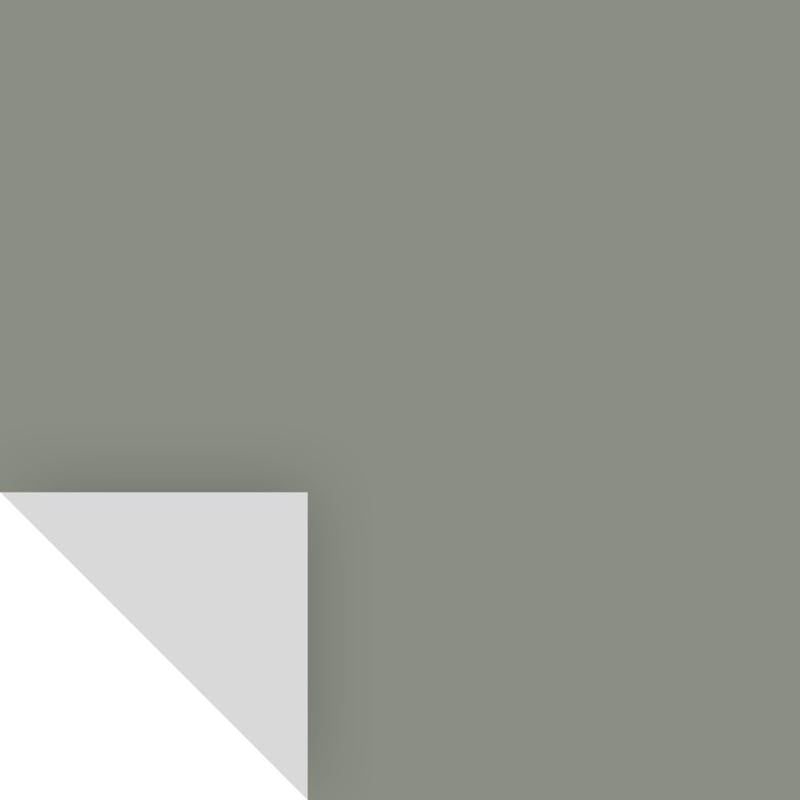 Samplize Benjamin Moore Carolina Gull Peel & Stick Color Sample 2138-40