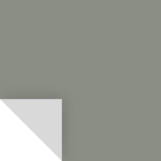 Samplize Benjamin Moore Carolina Gull Peel & Stick Color Sample 2138-40