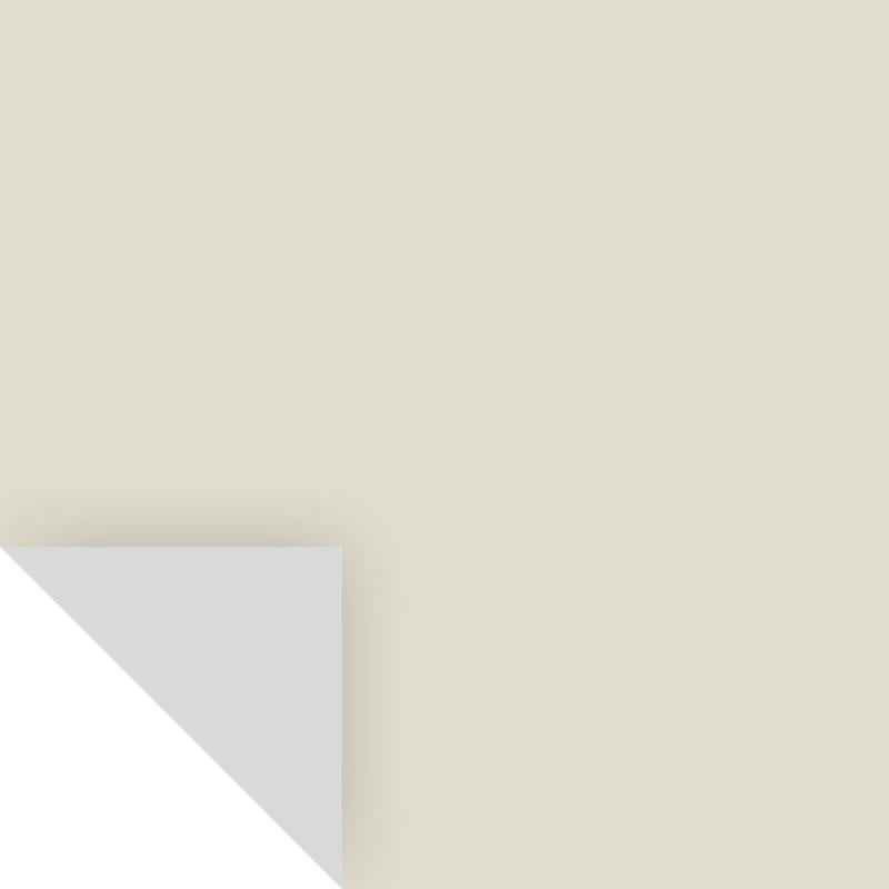 Samplize Benjamin Moore November Rain Peel & Stick Color Sample OC-50