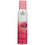 Citrus Magic Dragonfruit Scent Air Freshener Spray 3 oz Aerosol 1 pk