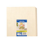 Plaid 0.75 in. H X 10 in. L Natural Beige Wood Canvas Panel
