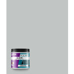 Beyond Paint Matte Soft Gray Water-Based Paint Exterior and Interior 1 pt