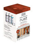 Modern Masters Metal Effects Flat Rust Water-Based Oxidizing Finish Kit Interior 2 oz