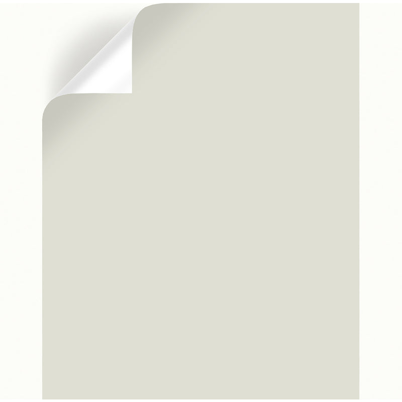 Magnolia Home by Joanna Gaines One Horn White Peel & Stick Color Sample