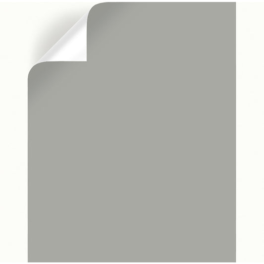 Magnolia Home by Joanna Gaines Weathered Windmill Peel & Stick Color Sample