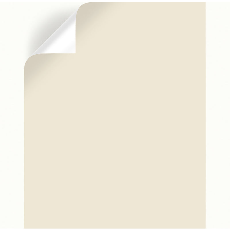 Magnolia Home by Joanna Gaines Carter Cr Peel & Stick Color Sample