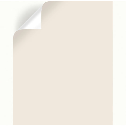 Magnolia Home by Joanna Gaines Antique Rose Peel & Stick Color Sample