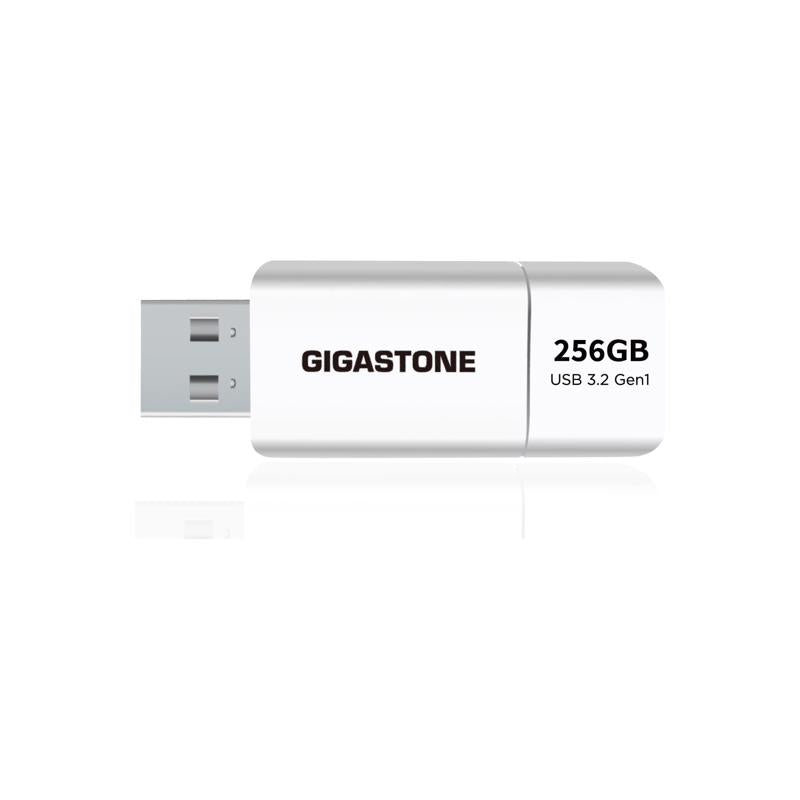 Gigastone Flash Drive 256 GB 1 pk
