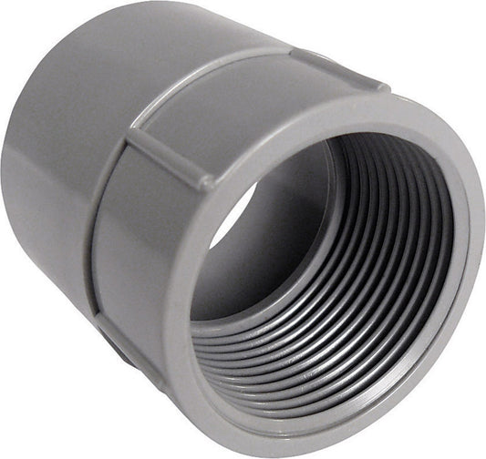 Cantex 1-1/4 in. D PVC Female Adapter For PVC 1 pk