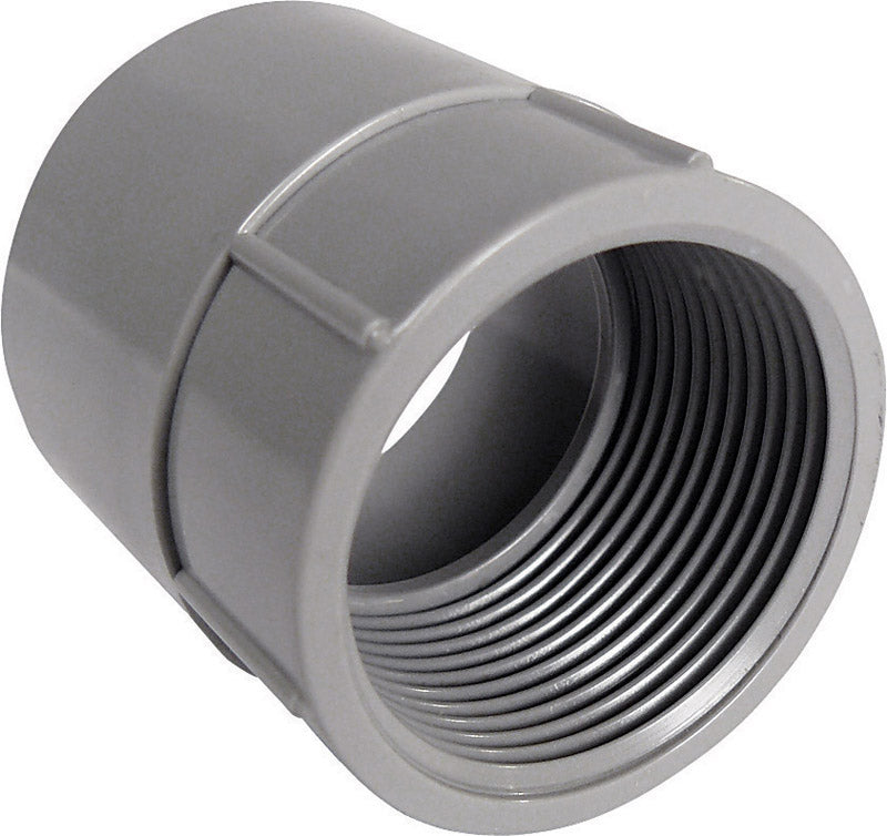 Cantex 1-1/2 in. D PVC Female Adapter For PVC 1 pk
