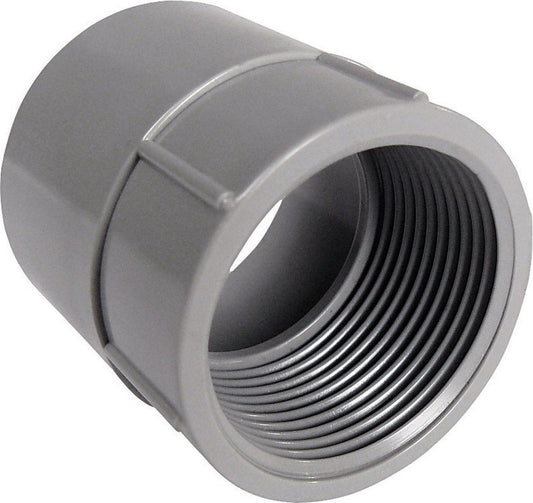 Cantex 2 in. D PVC Female Adapter For PVC 1 pk