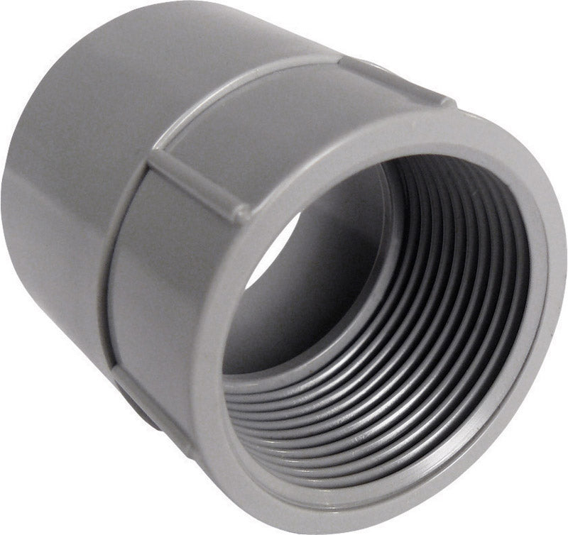 Cantex 2-1/2 in. D PVC Female Adapter For PVC 1 pk