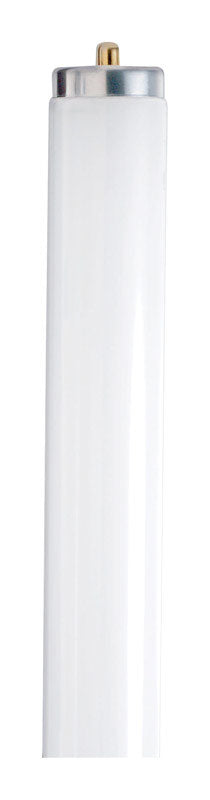 Satco 75 W T12 1.5 in. D X 96 in. L Fluorescent Bulb Daylight Linear 6500 K 1 pk