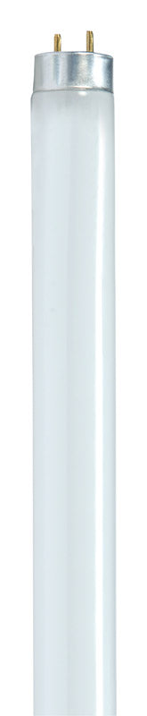 Satco 32 W T8 1 in. D X 48 in. L Fluorescent Bulb Cool White Linear 4100 K 1 pk