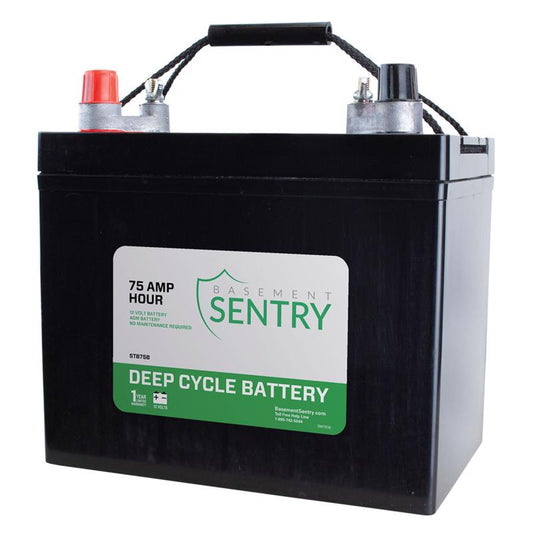 Zoeller Deep Cycle Battery