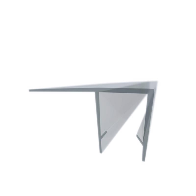 The Water Stopper 72 in. H X 2 in. W Clear Shower Door Sweep