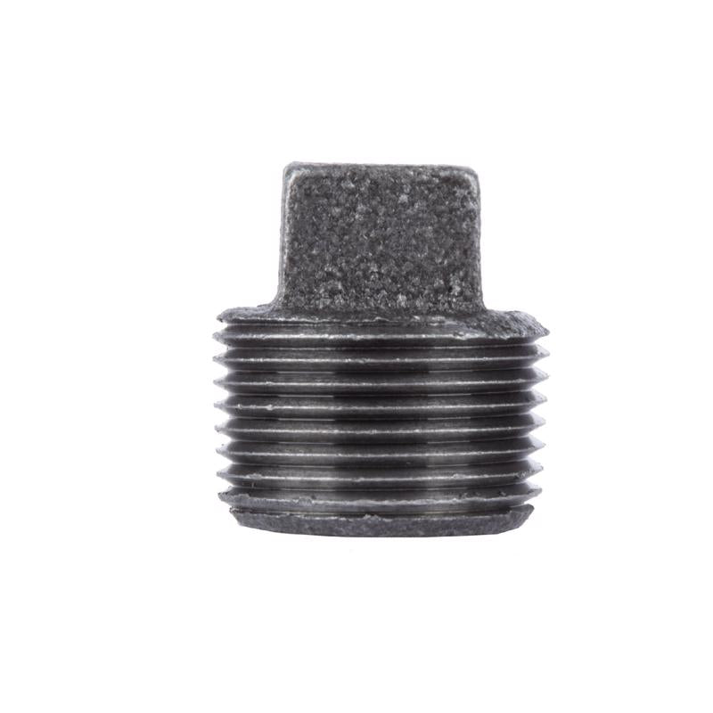 STZ Industries 1/8 in. MIP each Black Malleable Iron Plug