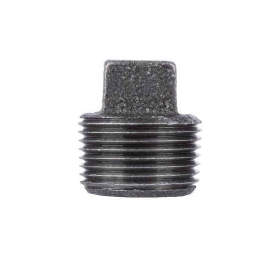 STZ Industries 1/8 in. MIP each Black Malleable Iron Plug