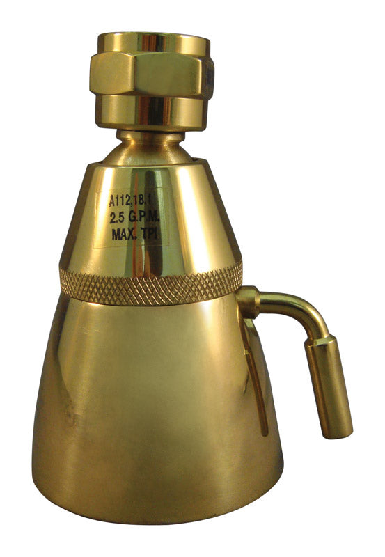 Ace Polished Brass 6 settings Showerhead 2.5 gpm