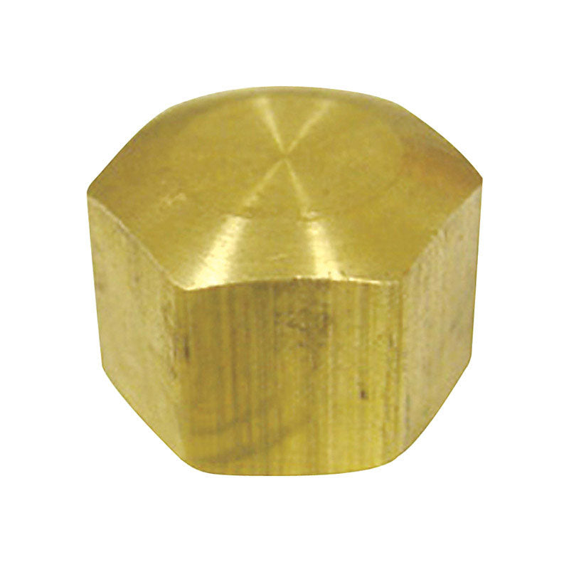 Ace 1/4 in. Compression Brass Cap