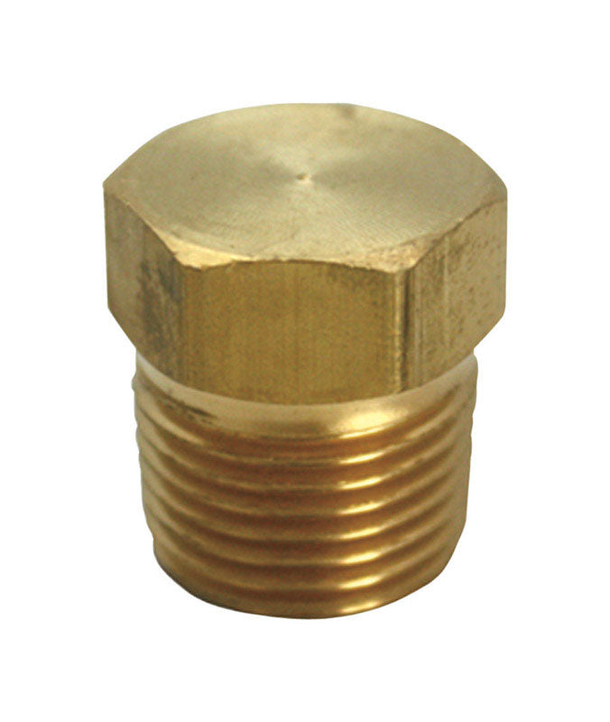 Ace 1/2 in. Male Brass Hex Head Plug