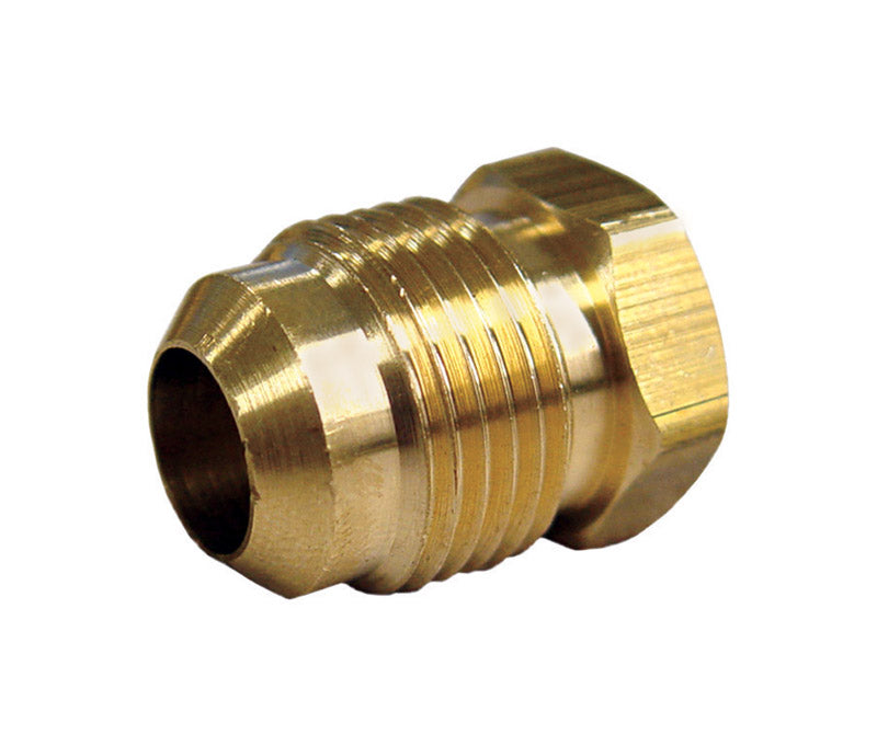 JMF Company 5/8 in. Flare Brass Hex Plug