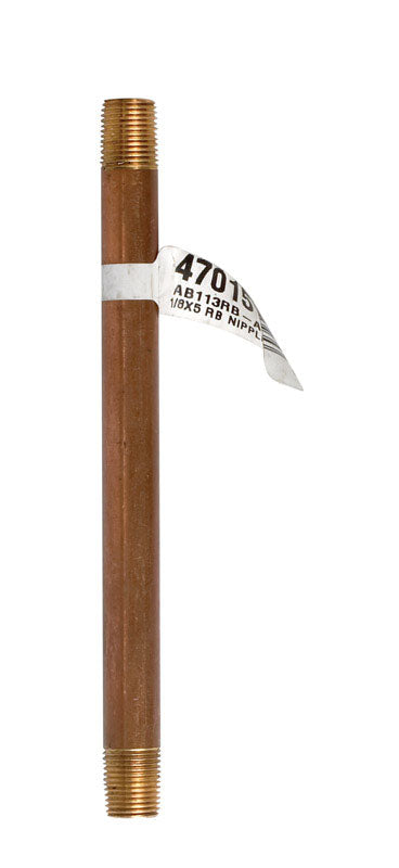 JMF Company 1/8 in. MPT X 1/8 in. D MPT Brass Nipple 5 in. L