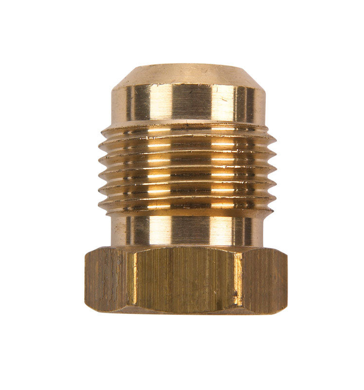 JMF Company 1/4 in. Flare Yellow Brass Hex Plug