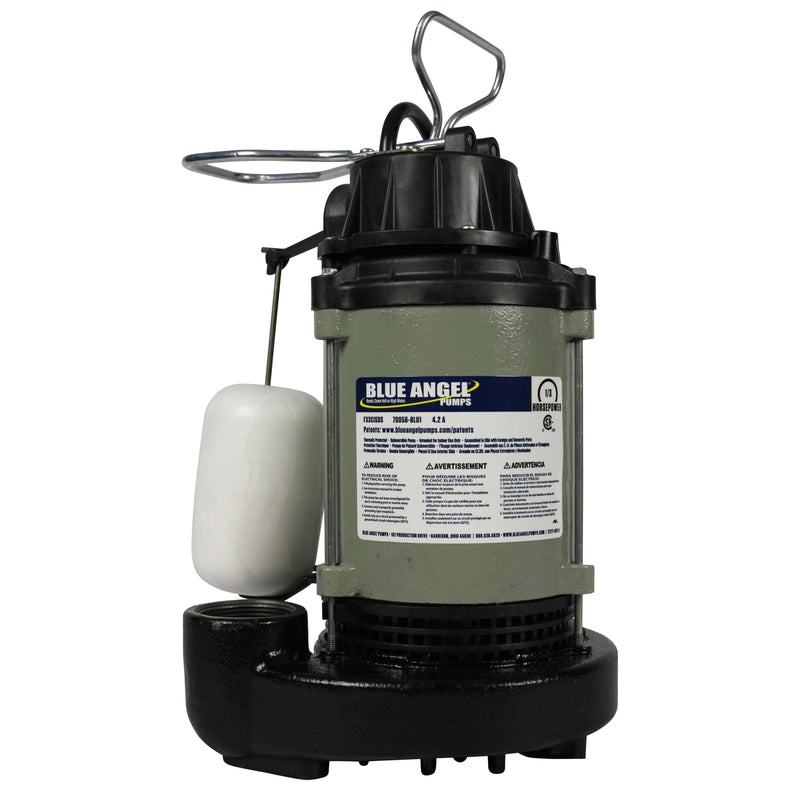 Wayne Blue Angel 1/3 HP 4,620 gph Cast Iron Vertical Float Switch AC Submersible Sump Pump 8 ftÂ³