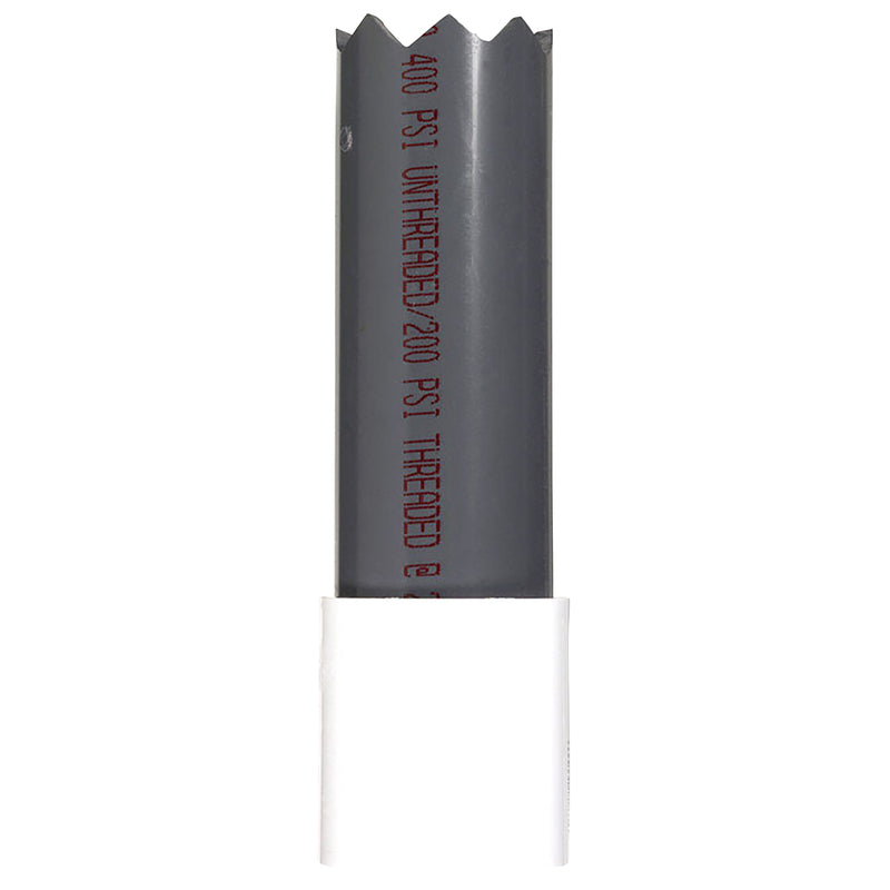 Campbell 2 in. D X 2 in. D Plastic Threaded Check Valve