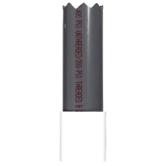 Campbell 2 in. D X 2 in. D Plastic Threaded Check Valve