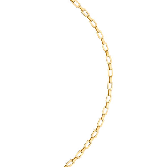 Koch Industries 1/0 in. Oval Link Brass Chain 0.177 in. D X 10 ft. L
