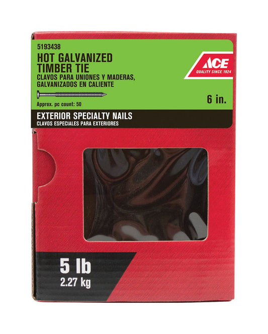 Ace 6 in. Timber Tie Hot-Dipped Galvanized Steel Nail Flat Head 5 lb