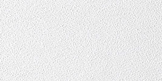 USG Sheetrock 4 ft. L X 2 ft. W 0.5 in. Square Edge Ceiling Panel 1 pk