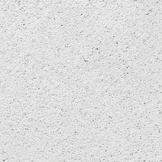 USG R414 Arctic 24 in. L X 24 in. W 0.75 in. Shadow Lined Bevel Ceiling Tile 1 pk