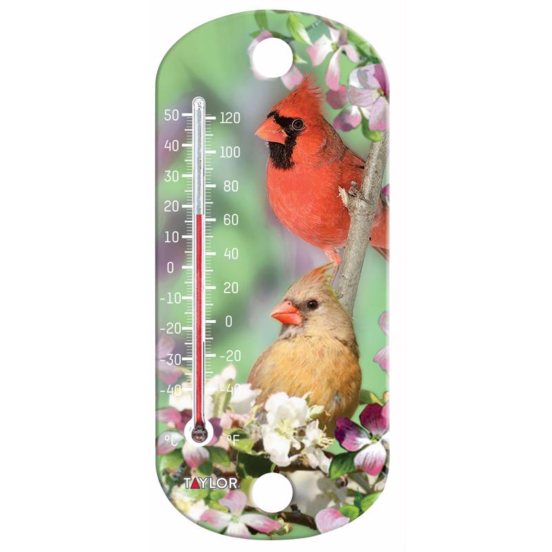 Taylor Bird Design Tube Thermometer Plastic Multicolored 8 in.